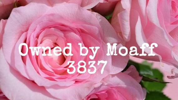 taken by moaff