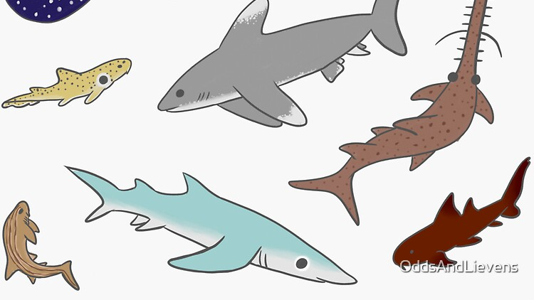Aquatic Puppiesのバナー
