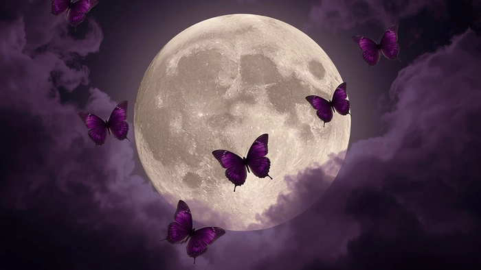 Moons Midnight Munchersのバナー
