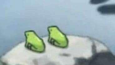 FROG RACERS