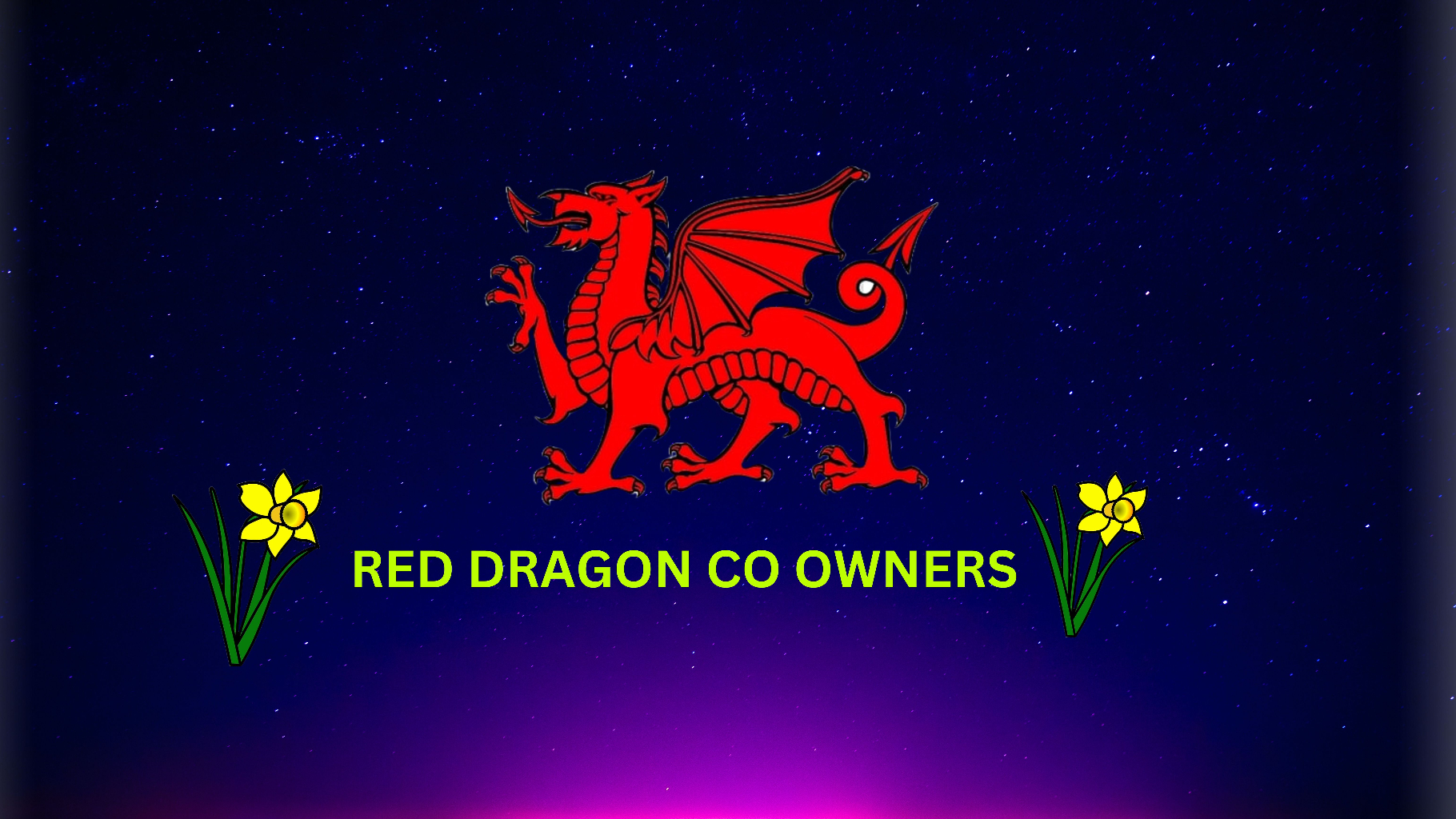 The Red Dragon Co-Ownerのバナー