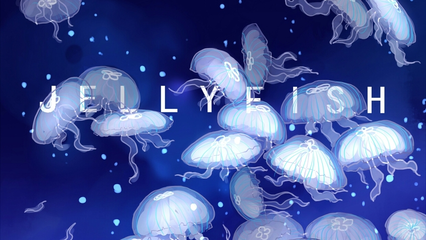 Jellyfish Joys