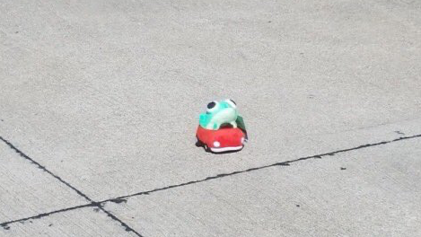FROGGY RIDERZ