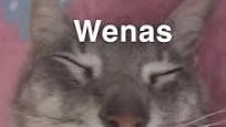 Wenas