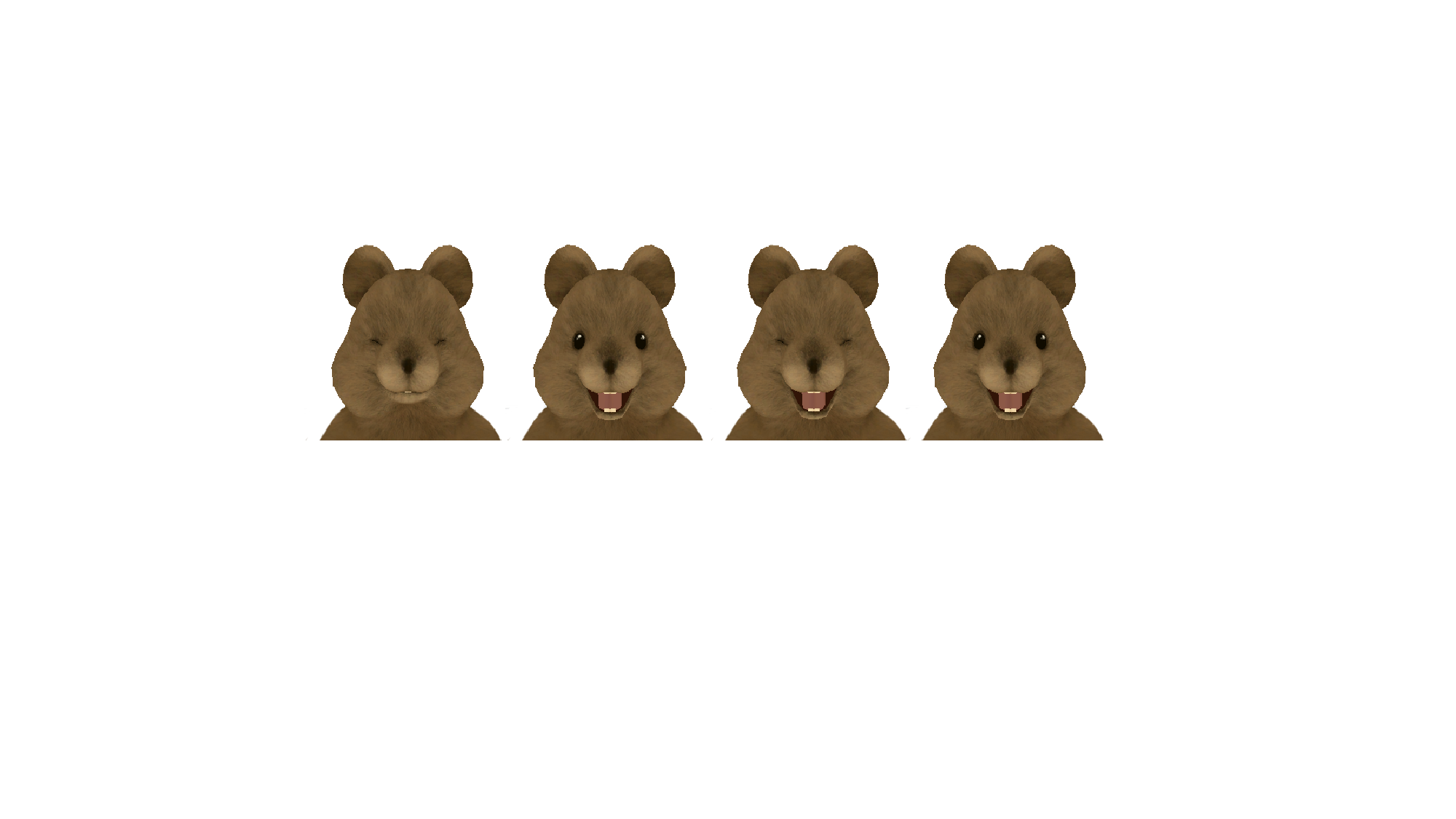 Quokka fansのバナー