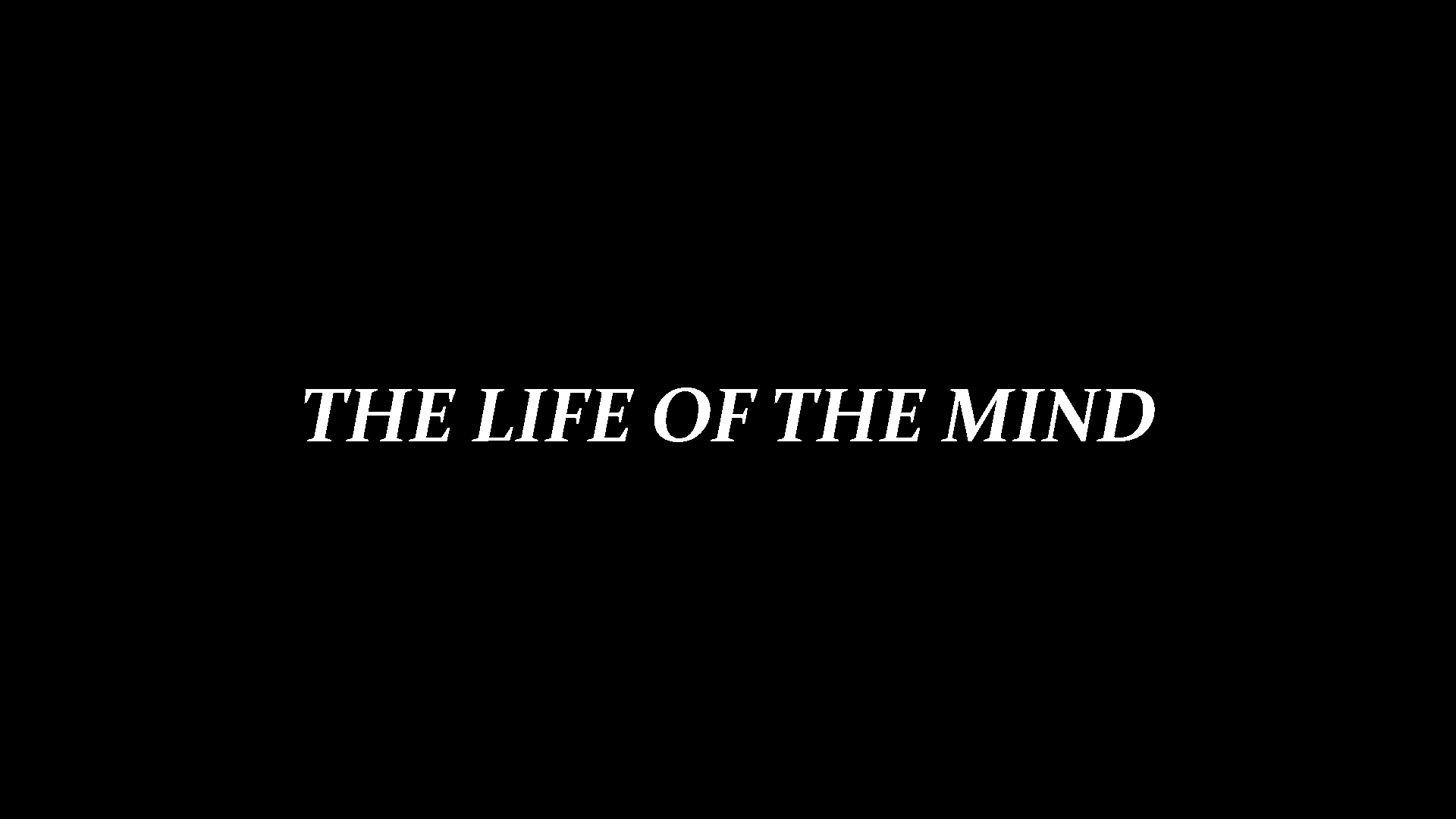 The Life Of The Mindのバナー