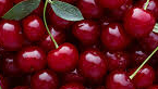 CherryBombPops