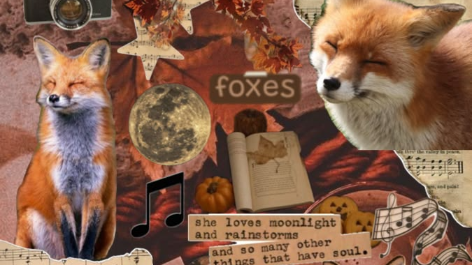 FOX DENのバナー
