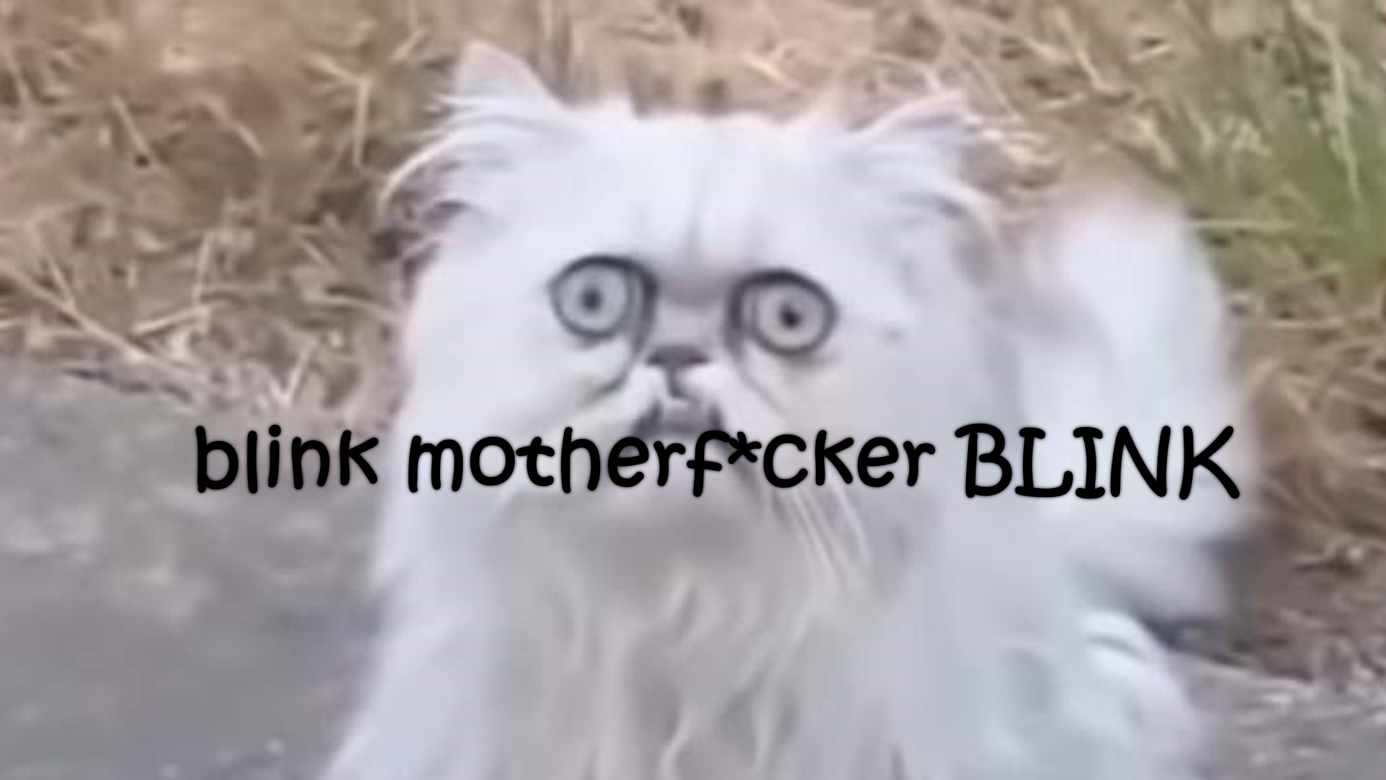 The Blinking Crew