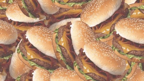 Cheeseburger Protectors