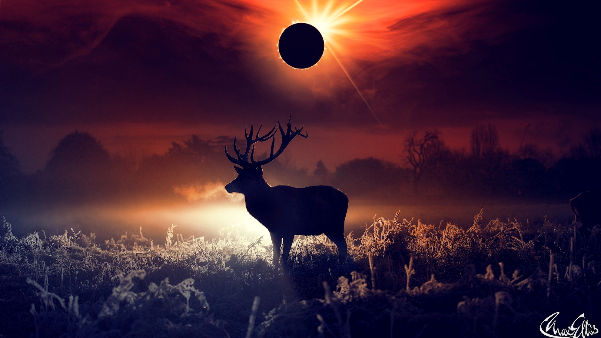 Deer Sanctuary