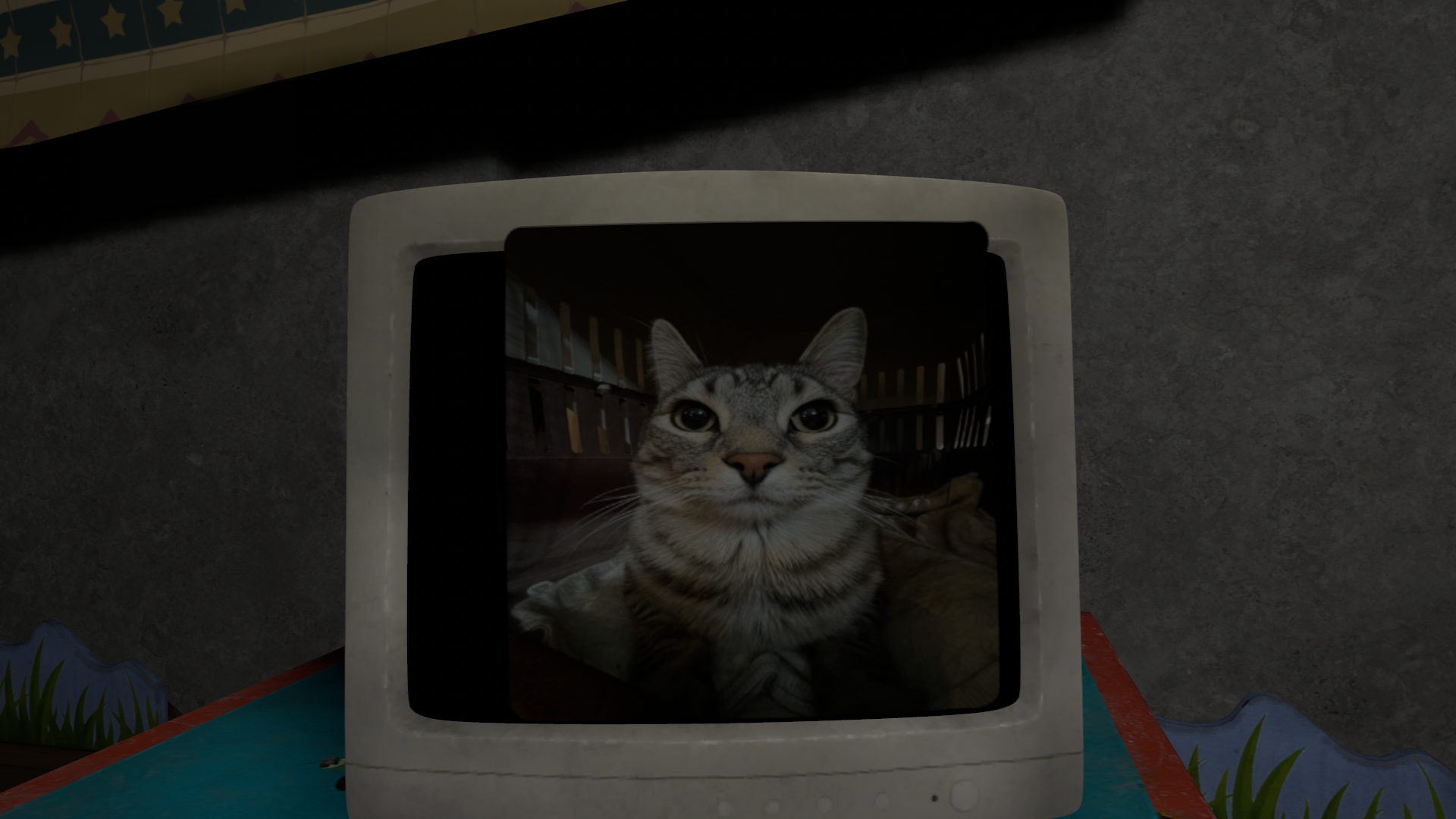 catandtvのバナー