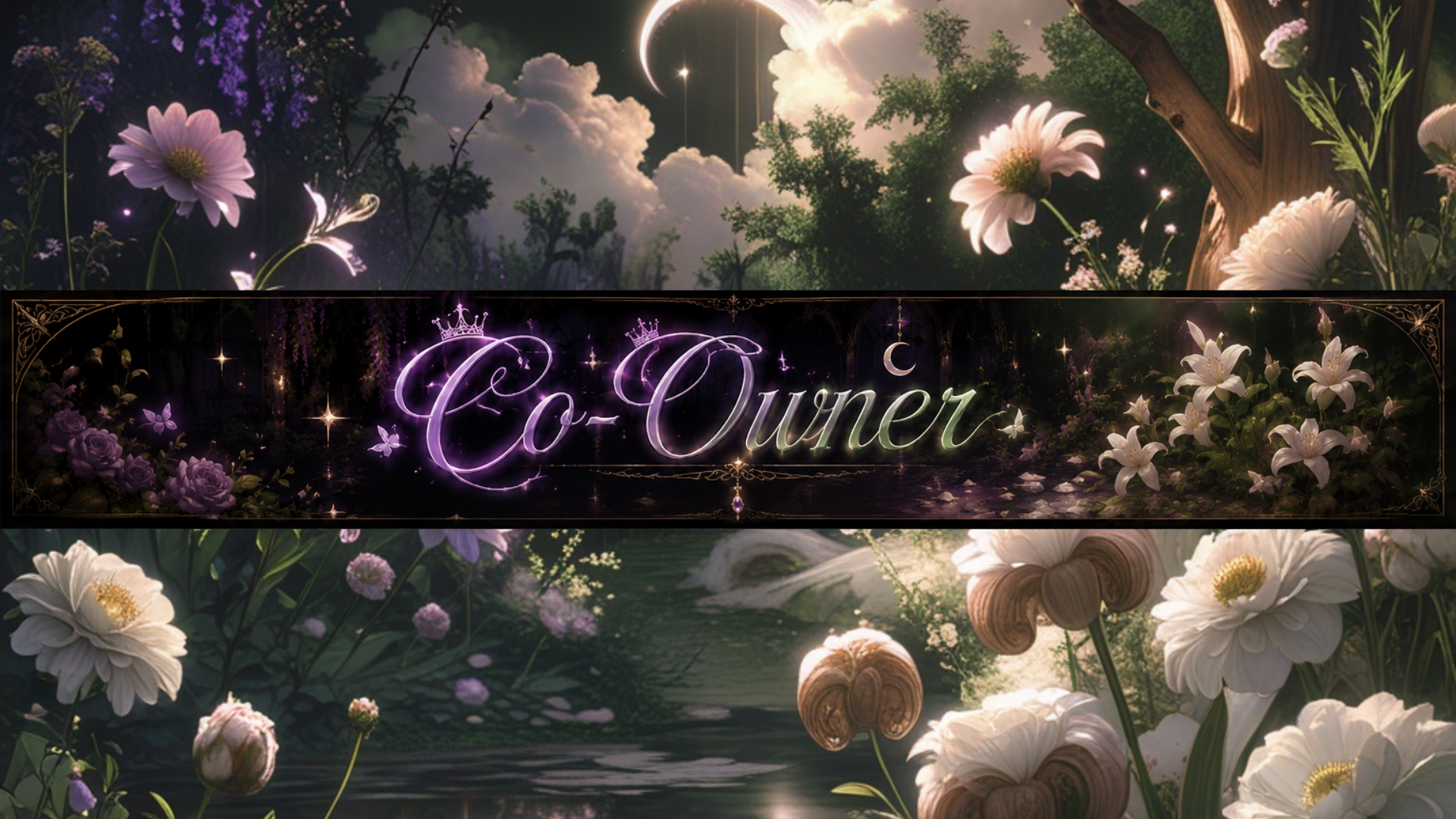 ANC Co-ownerのバナー