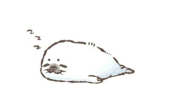 sealpupsのバナー