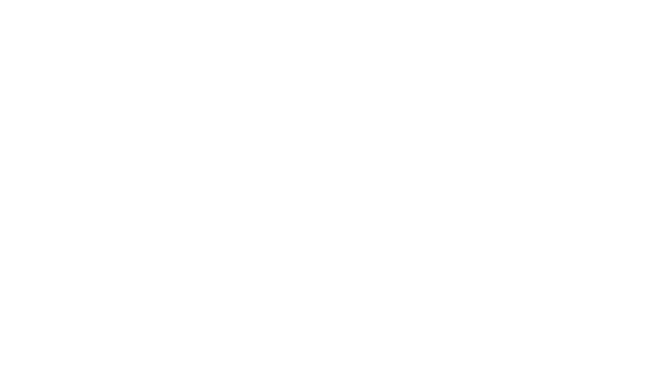 VibeDen