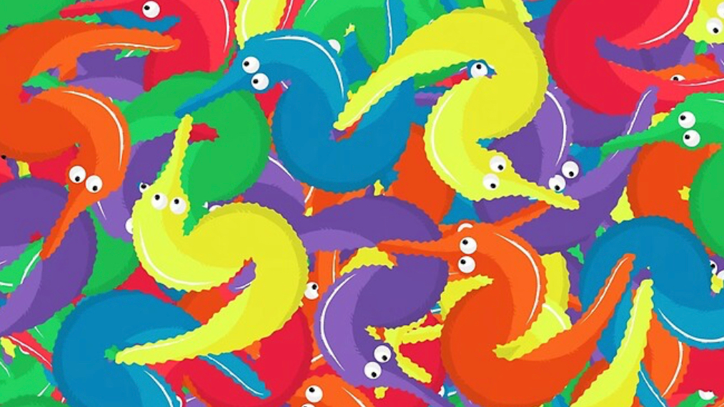WIGGLE WORMSSSSSSS