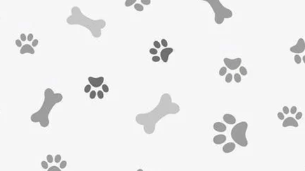 Fryes Furry Groupのバナー