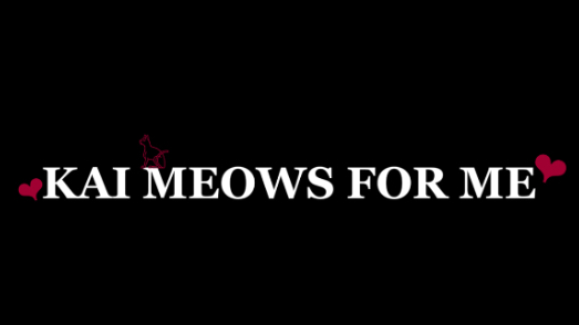 Kai meows for meのバナー