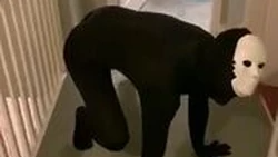 ThirstyCoのバナー