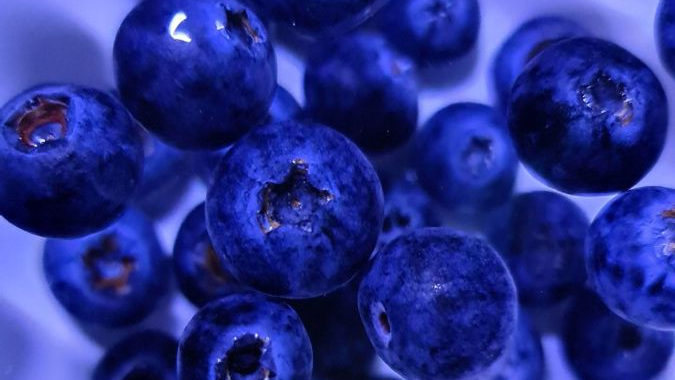 The Frozen Blueberry Waffle Gardenのバナー
