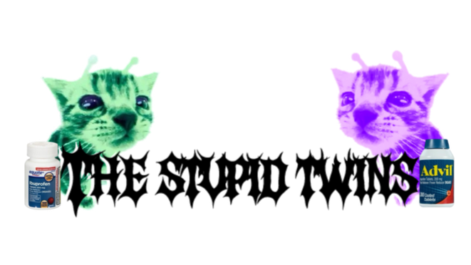 The stupid twins