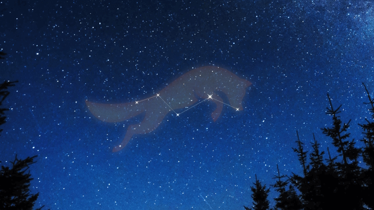 Vulpeculaのバナー