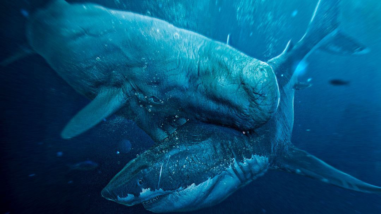 Leviathan Familyのバナー