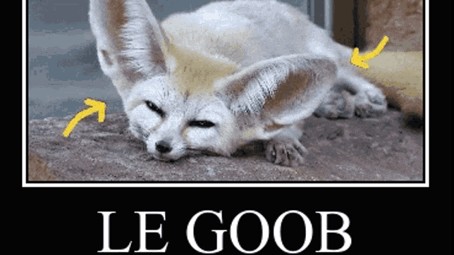 Verified Gooberのバナー