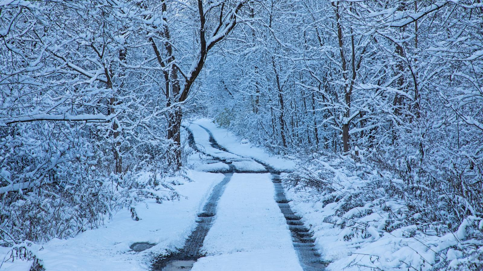 those who snow