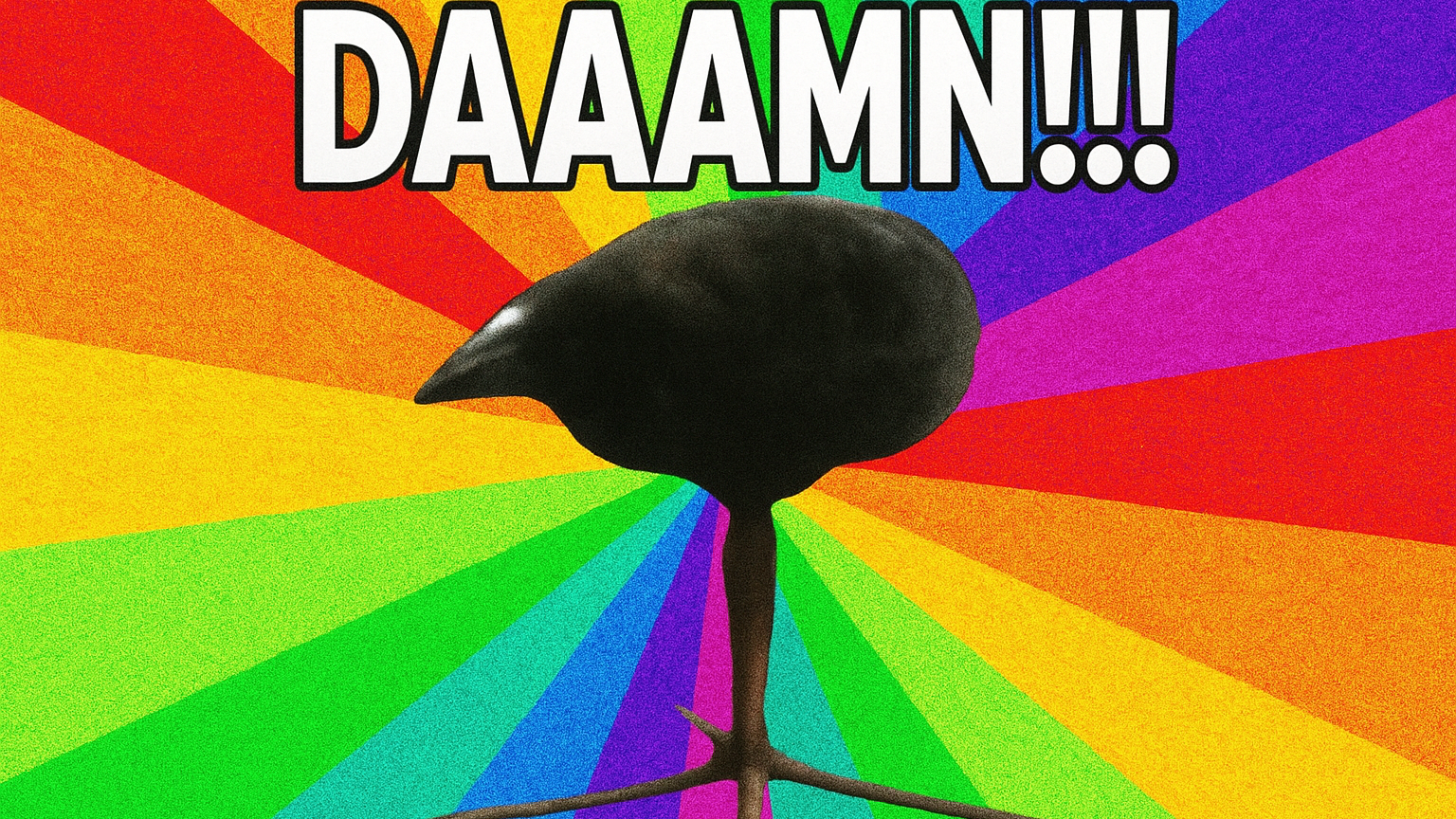 DAMNBIRDのバナー