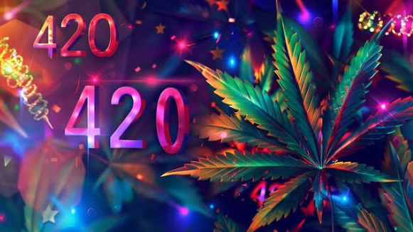 Weed Hotboxersのバナー