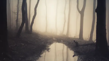Requiemのバナー