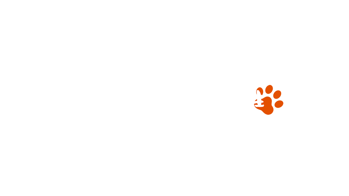 おしえて！ねこ先生のバナー
