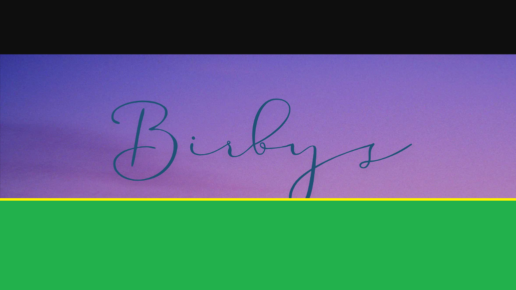 Birby's Party