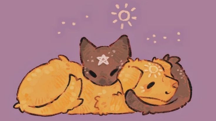 ˚ʚ sunny side up ɞ˚のバナー