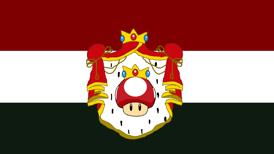Mushroom Kingdom Armed Forcesのバナー