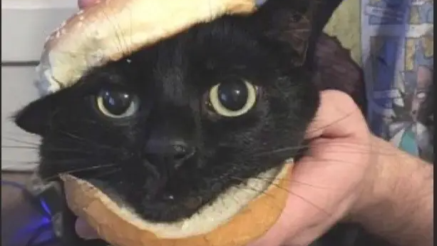 demon bread group