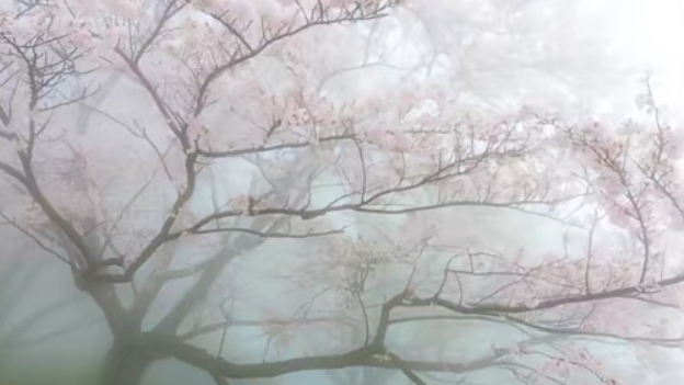 ఌ༒Jasmine༒ఌ