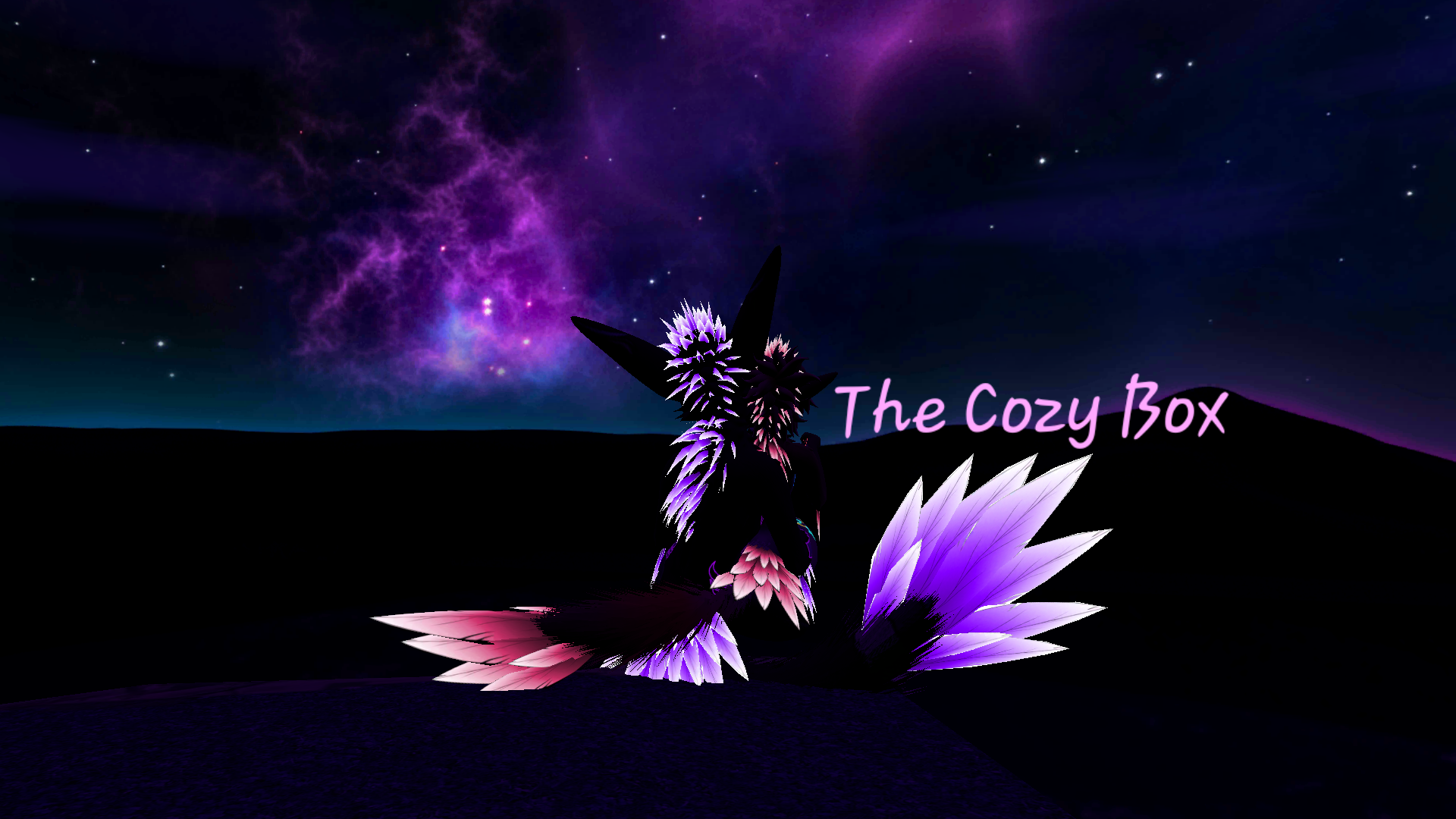 The Cozy Box