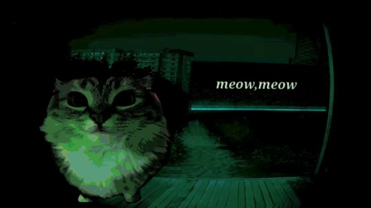 No I'm Not a Cat
