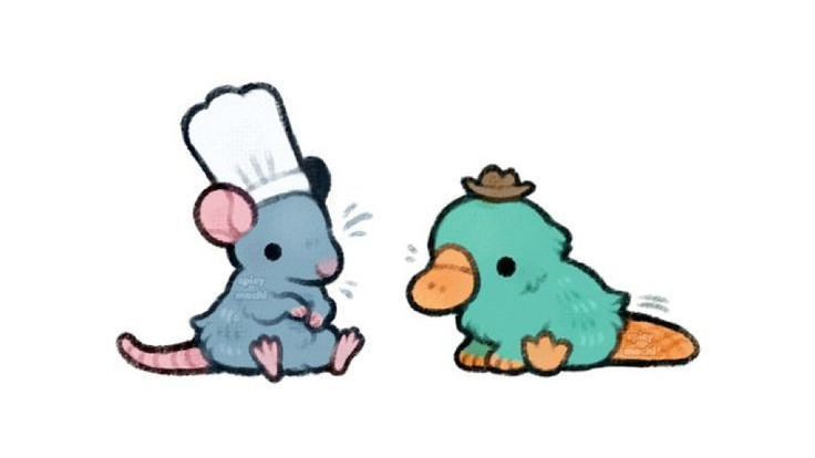 Chomp
