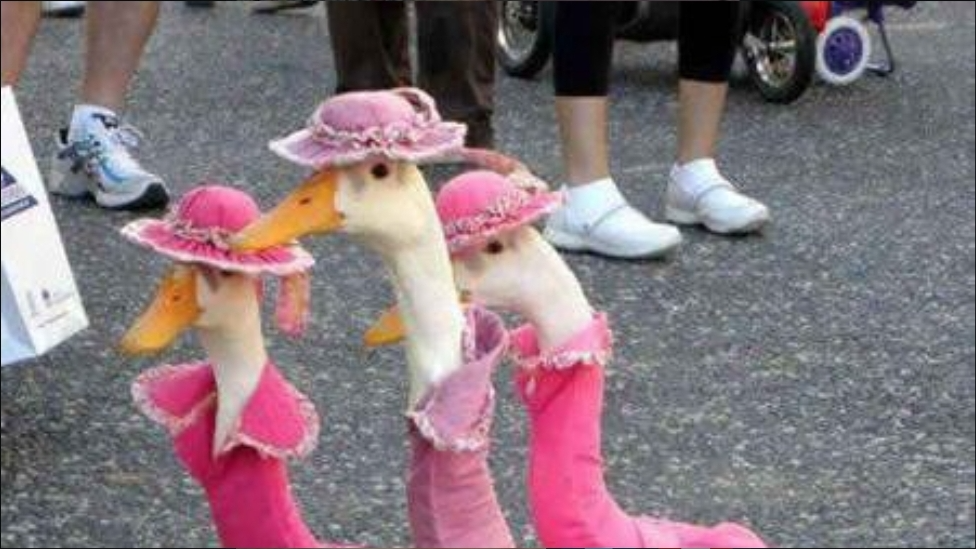Animal Farm