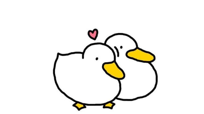 Ducks