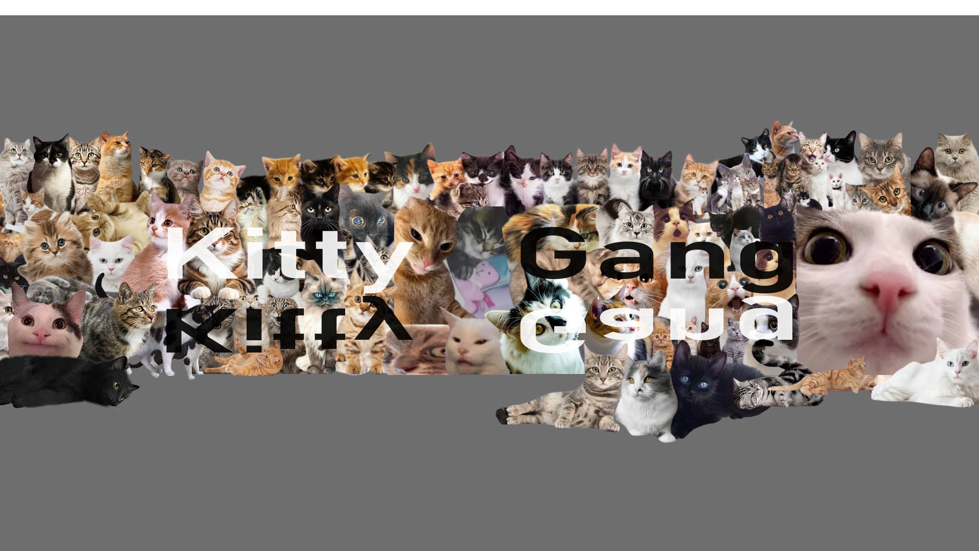 KittyGangのバナー
