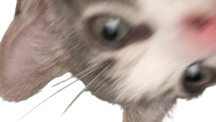 tisumのバナー