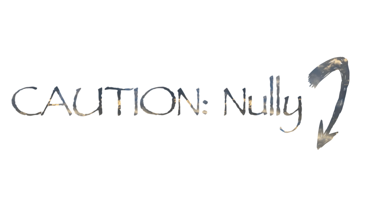 Project Nully