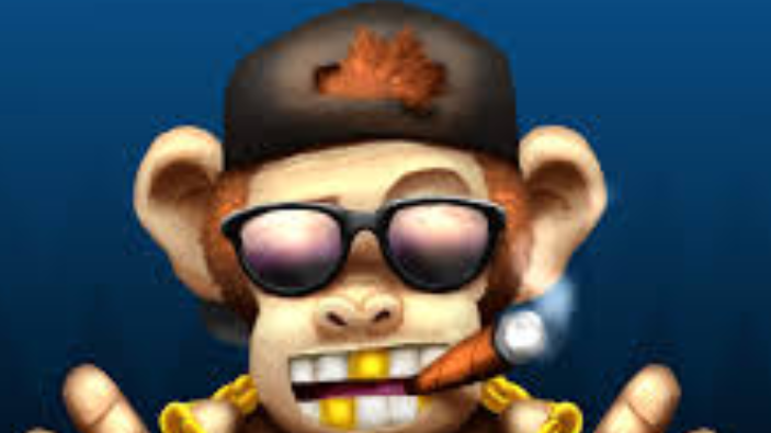 Swaggy monkeys