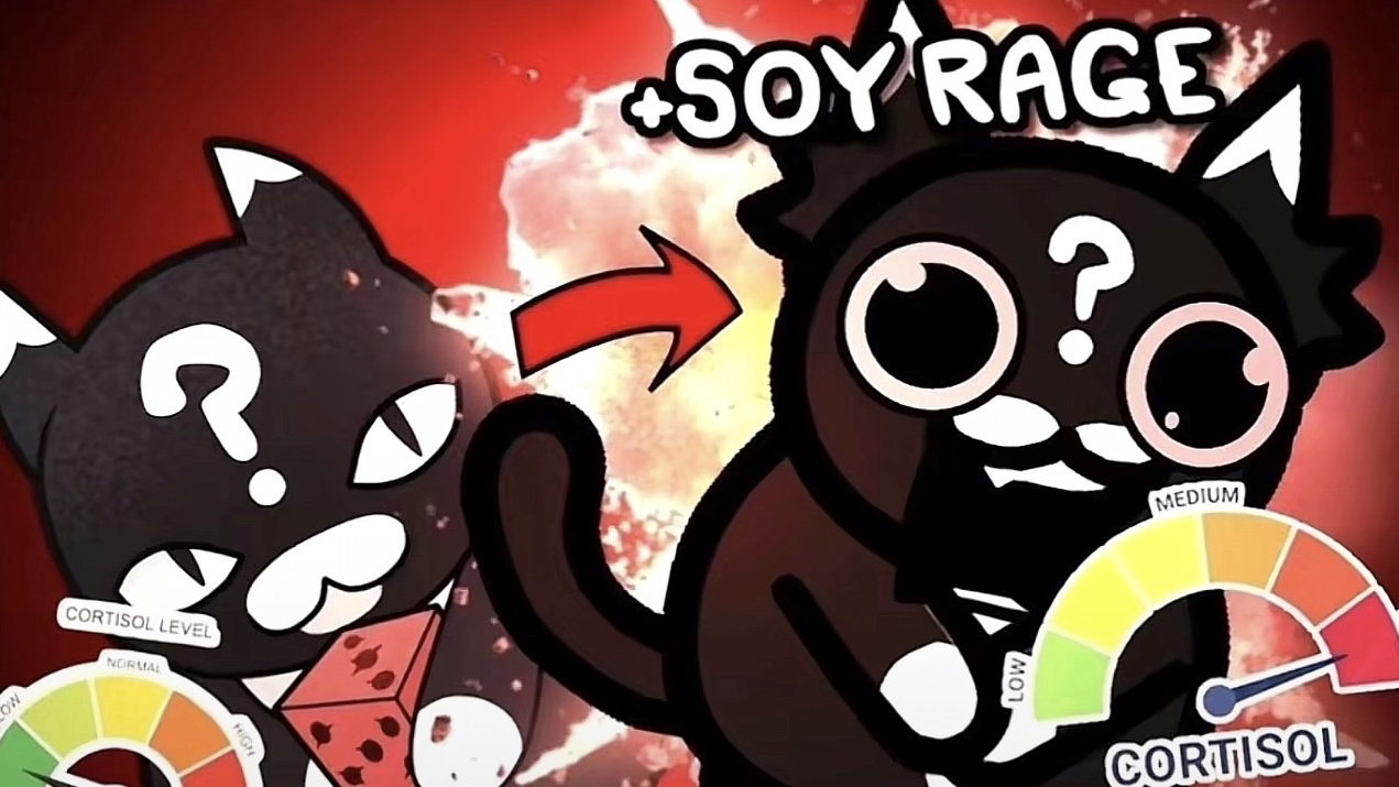 Soy rageのバナー