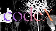 Codex
