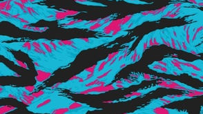 Miami Tigerstripeのバナー